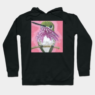 Calliope Hummingbird Hoodie